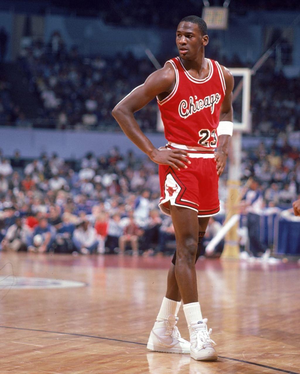 依然展现了 依然展现了