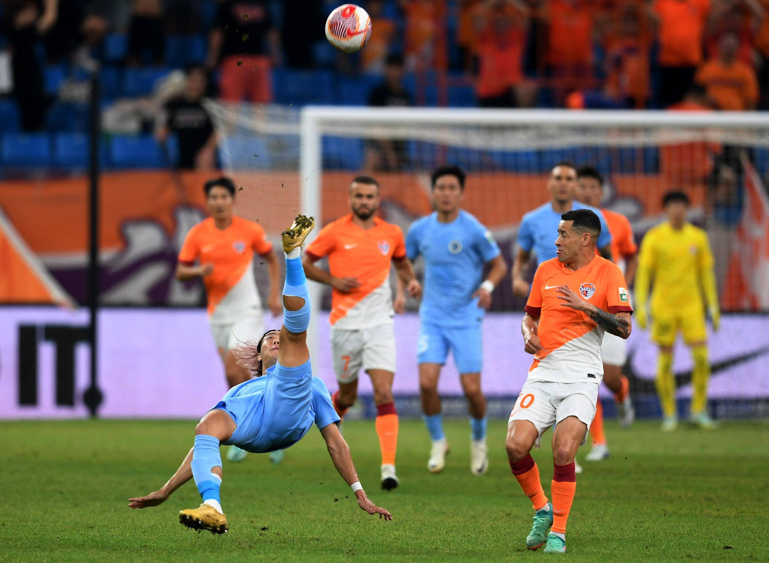 女排联赛的 女排联赛的