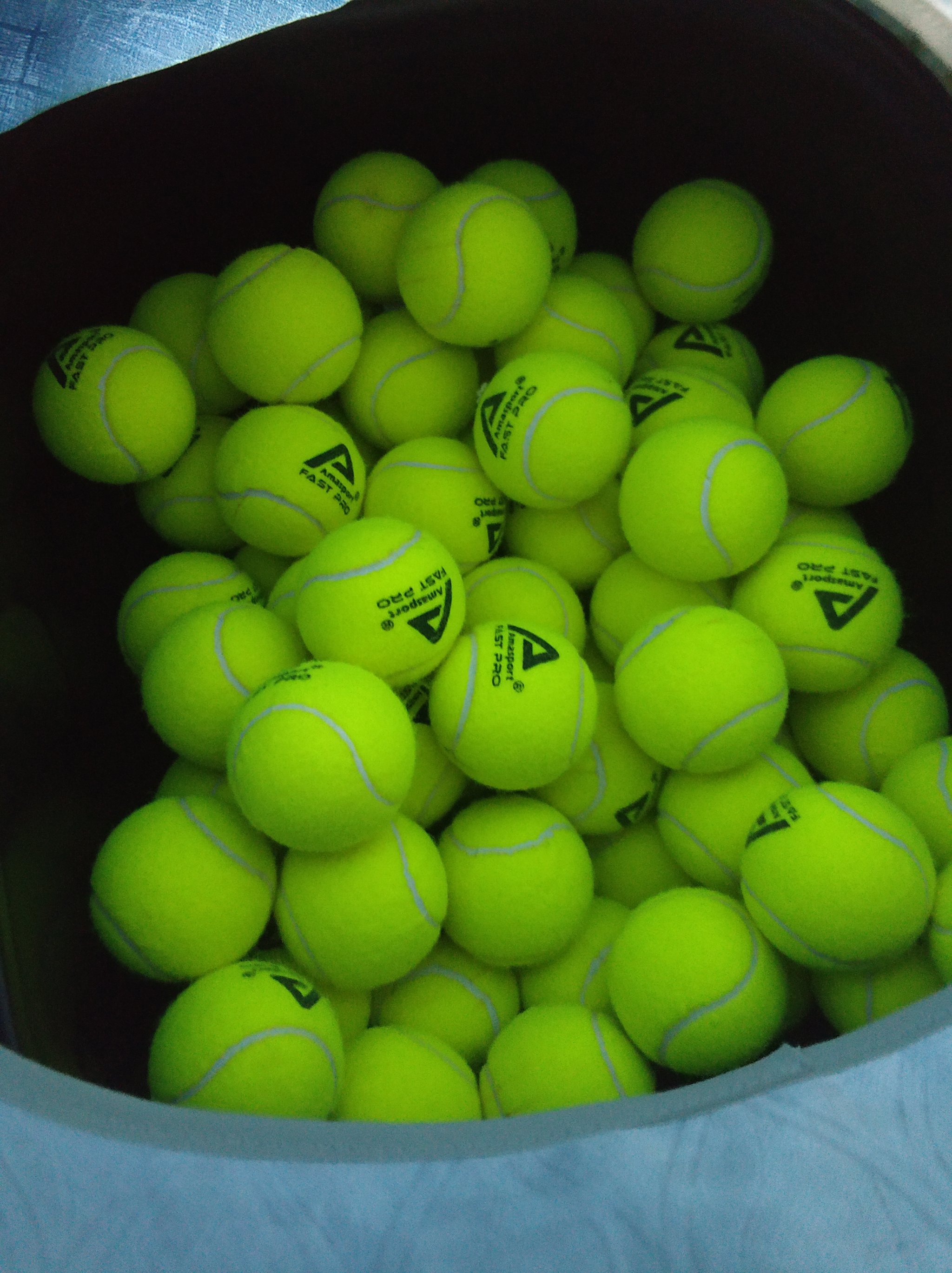 是自我约束 是自我约束